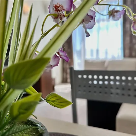 Grenada - Menada מלון דירות